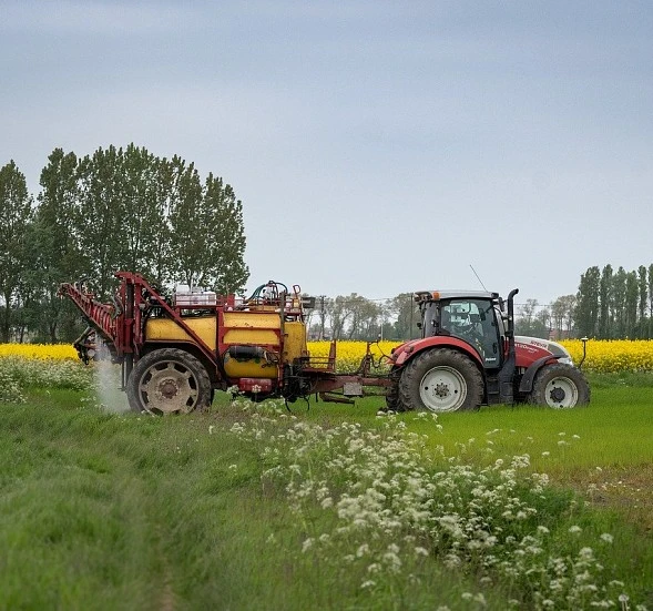 Pagos anticipados de la PAC 2024: Agricultores y ganaderos españoles reciben 2.600 millones de euros