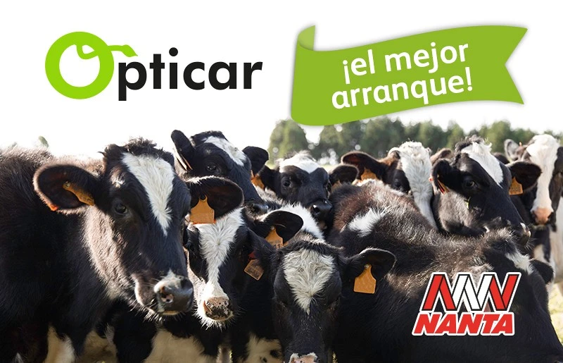 Opticar (NANTA)