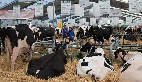 Descubre los Farm Tours: Un Atractivo Destacado en el SOMMET DE L'ÉLEVAGE