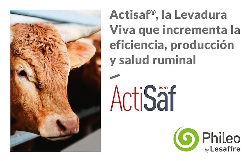 Actisaf®