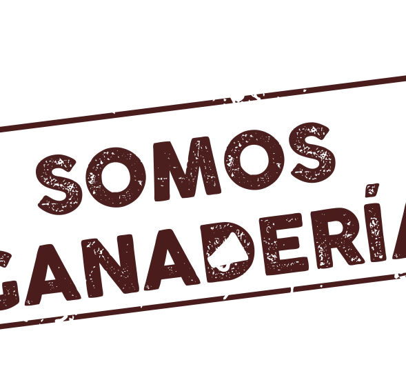 Desmontando mitos sobre la ganadería